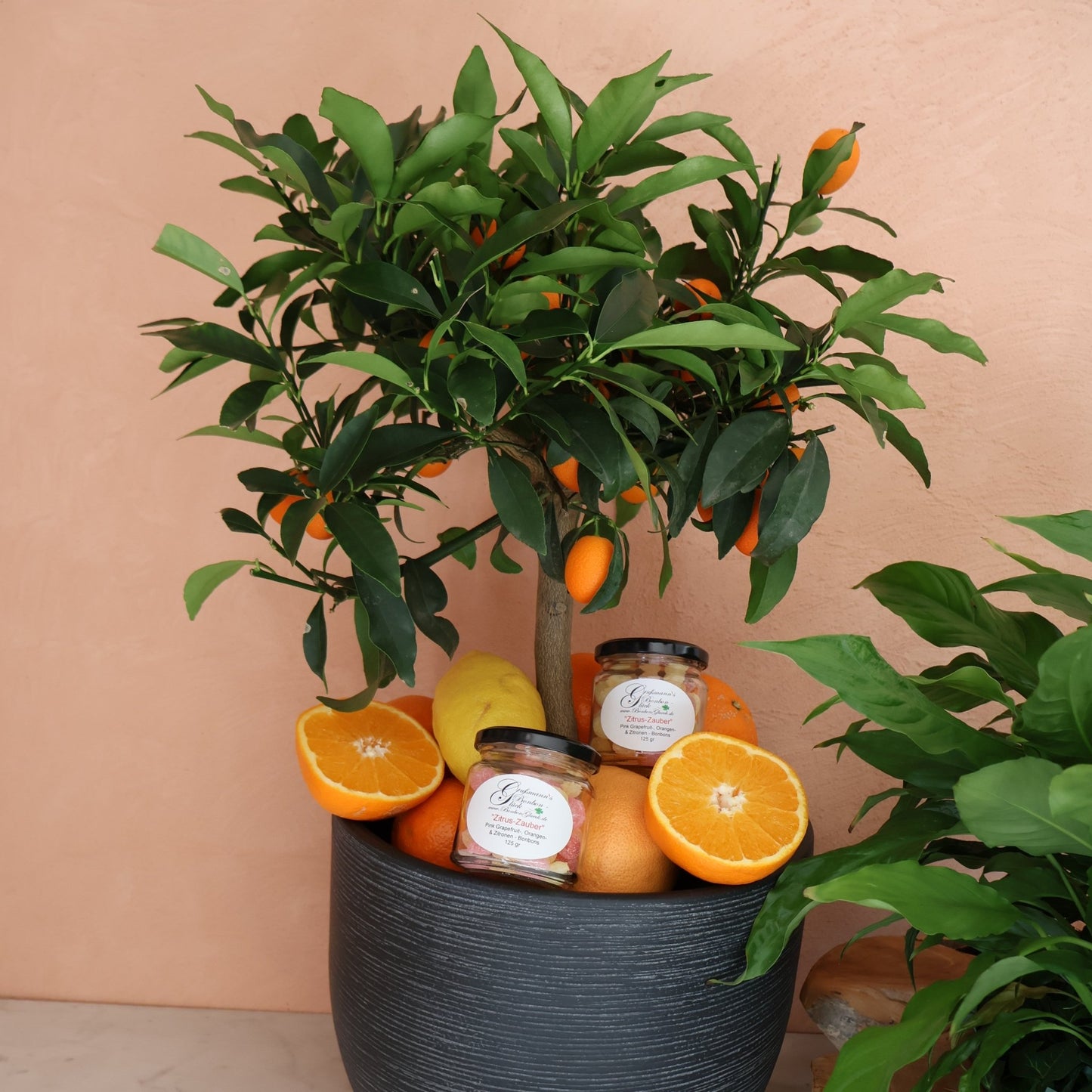 Bonbonmischung "Zitrus-Zauber". Die "Zauber"-Mischung vom Februar 2026